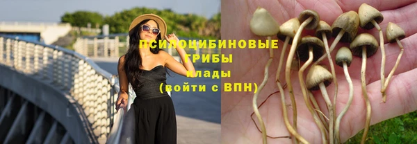 мескалин Верхний Тагил
