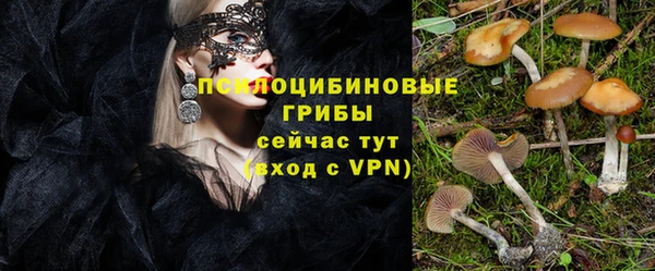 мескалин Верхний Тагил