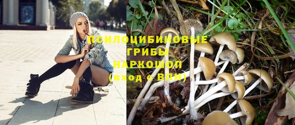 мескалин Верхний Тагил